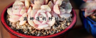 露娜莲的种植方法,第1图