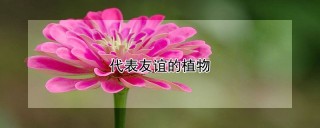 代表友谊的植物,第1图