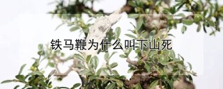 铁马鞭为什么叫下山死,第1图