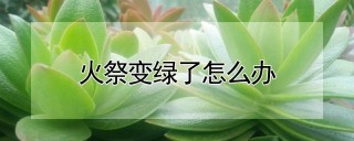 火祭变绿了怎么办,第1图