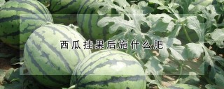 西瓜挂果后施什么肥,第1图