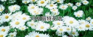 玛格丽特花语,第1图