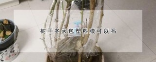 树干冬天包塑料膜可以吗,第1图