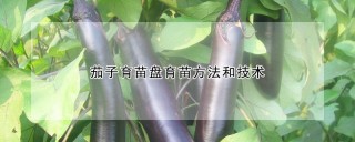 茄子育苗盘育苗方法和技术,第1图