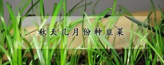 秋天几月份种韭菜,第1图