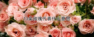 13朵玫瑰代表什么意思,第1图