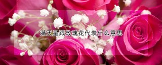 满天星跟玫瑰花代表什么意思,第1图