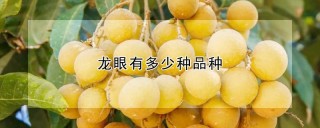 龙眼有多少种品种,第1图