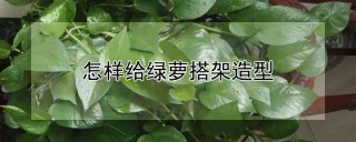 怎样给绿萝搭架造型,第1图