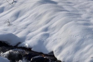 雪的寓意和象征,第3图