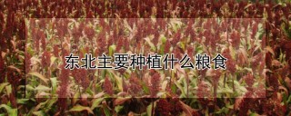 东北主要种植什么粮食,第1图