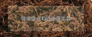 椰砖和土壤配合的比例,第1图