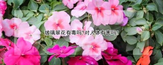 玻璃翠花有毒吗?对人体有害吗?,第1图