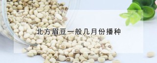 北方眉豆一般几月份播种,第1图