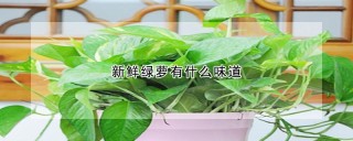 新鲜绿萝有什么味道,第1图