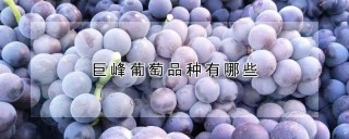 巨峰葡萄品种有哪些,第1图