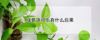 绿萝浇可乐有什么后果,第1图