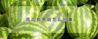 西瓜有黑斑怎么回事,第1图