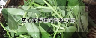 空心菜种植时间和方法,第1图