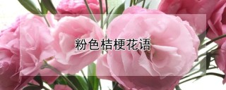 粉色桔梗花语,第1图