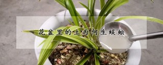 花盆里的土为何生蜈蚣,第1图