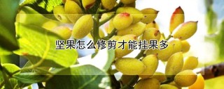 坚果怎么修剪才能挂果多,第1图