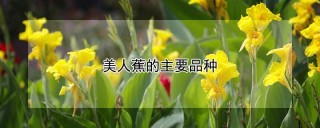 美人蕉的主要品种,第1图