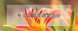 什么花的花语是忘记,第1图