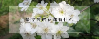 能结果的花都有什么,第1图