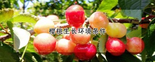 樱桃生长环境条件,第1图