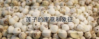 莲子的寓意和象征,第1图