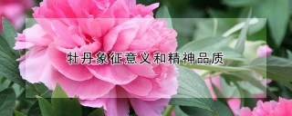 牡丹象征意义和精神品质,第1图