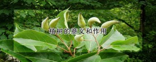 植树的意义和作用,第1图