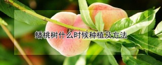 蟠桃树什么时候种植及方法,第1图