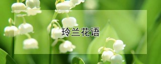 玲兰花语,第1图