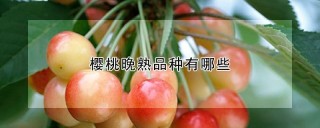 樱桃晚熟品种有哪些,第1图