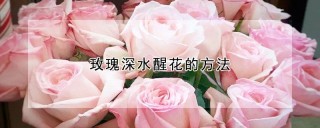 玫瑰深水醒花的方法,第1图