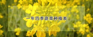 一年四季蔬菜种植表,第1图