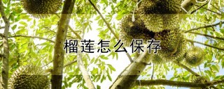 榴莲怎么保存,第1图