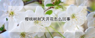 樱桃树秋天开花怎么回事,第1图