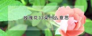 玫瑰花33朵什么意思,第1图