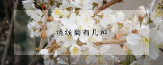 绣线菊有几种,第1图