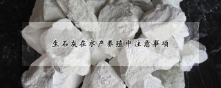 生石灰在水产养殖中注意事项,第1图