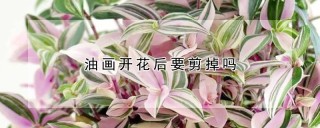 油画开花后要剪掉吗,第1图