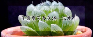 玉露夏天多久浇一次水,第1图