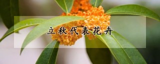 立秋代表花卉,第1图