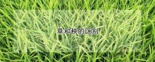 草和秧的区别,第1图