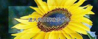 送人向日葵暗示什么,第1图