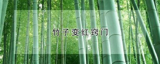 竹子变红窍门,第1图