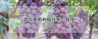 庭院葡萄种植技术与管理,第1图